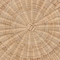 Baxton Studio Abbey Modern Bohemian Natural Brown Antique Rattan Coffee Table 219-12718-ZORO - alternate 7